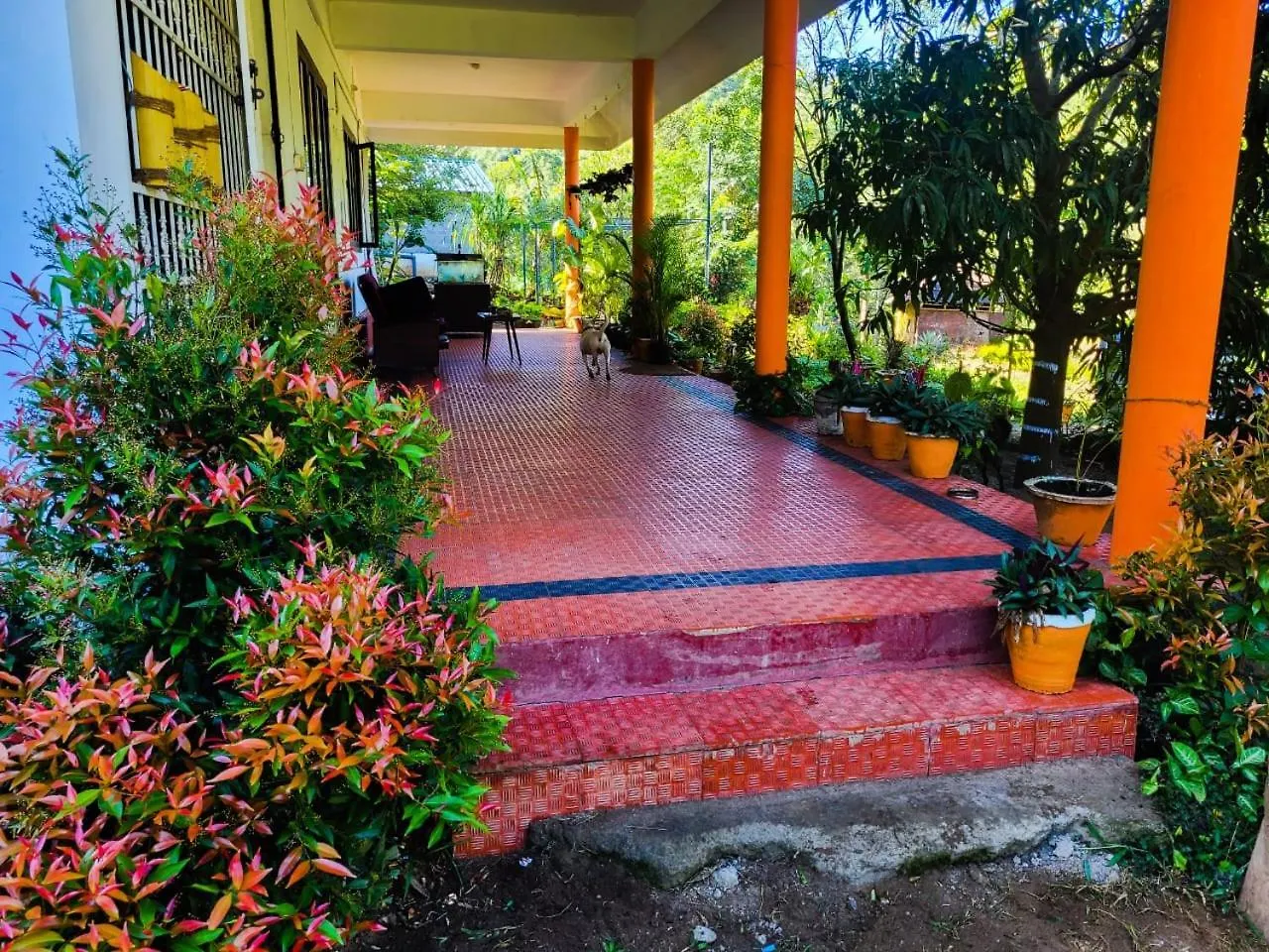 Beyond Bodhi, A Forest Retreat Bed and Breakfast Kanthalloor India