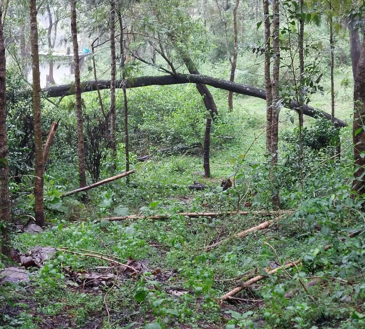 Beyond Bodhi, A Forest Retreat Bed and Breakfast Kanthalloor