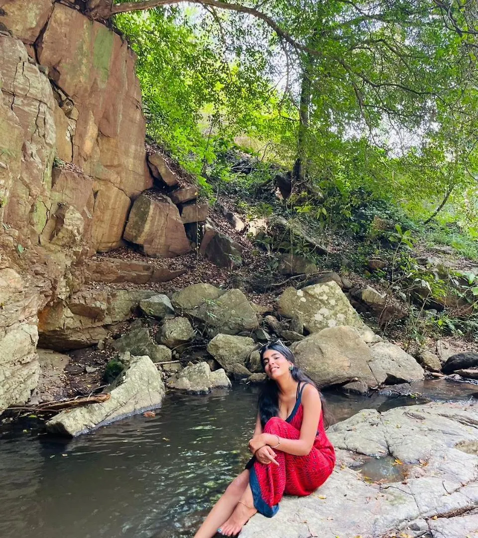 Beyond Bodhi, A Forest Retreat Bed and Breakfast Kanthalloor
