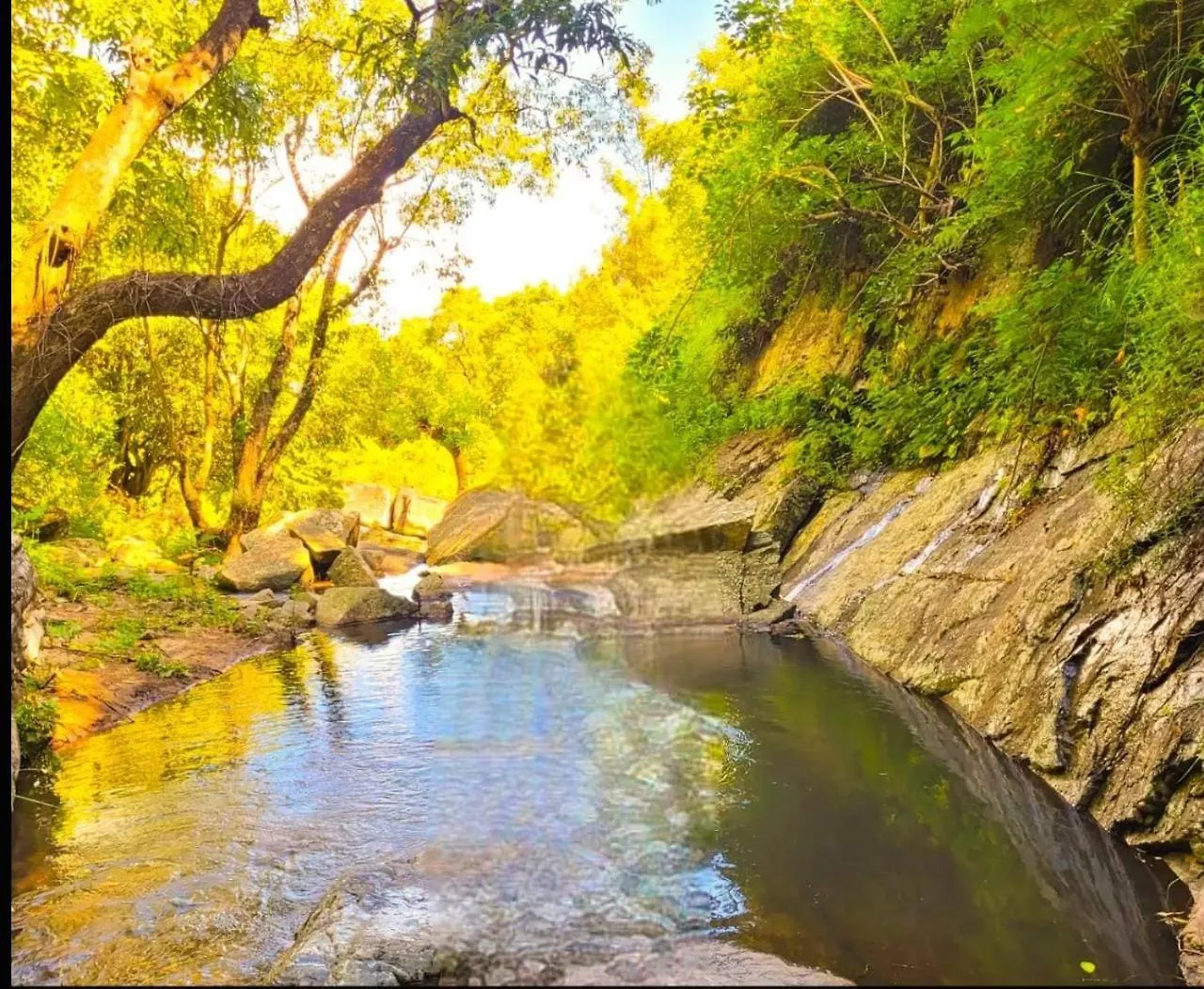 Bed and Breakfast Beyond Bodhi, A Forest Retreat Kanthalloor Indie