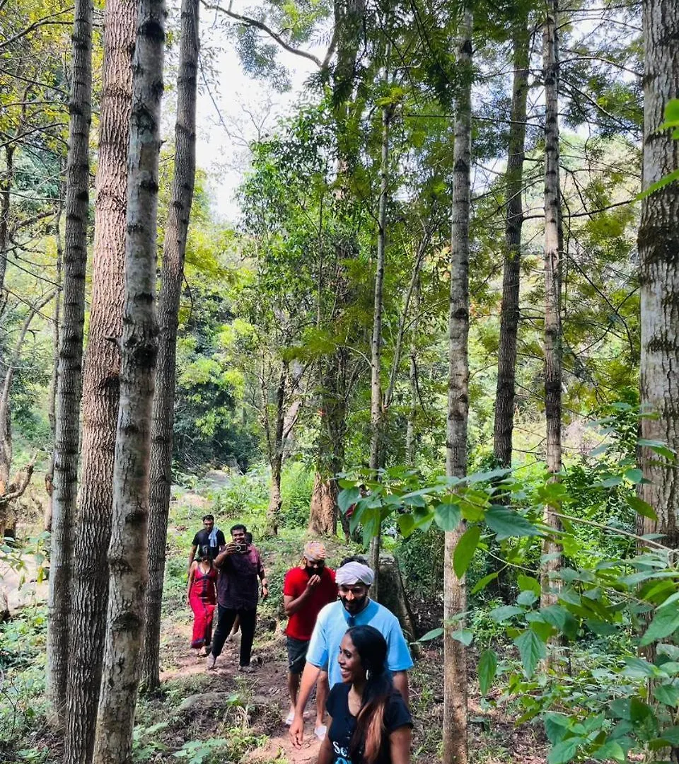 Bed and Breakfast Beyond Bodhi, A Forest Retreat Kanthalloor Bed & Breakfast